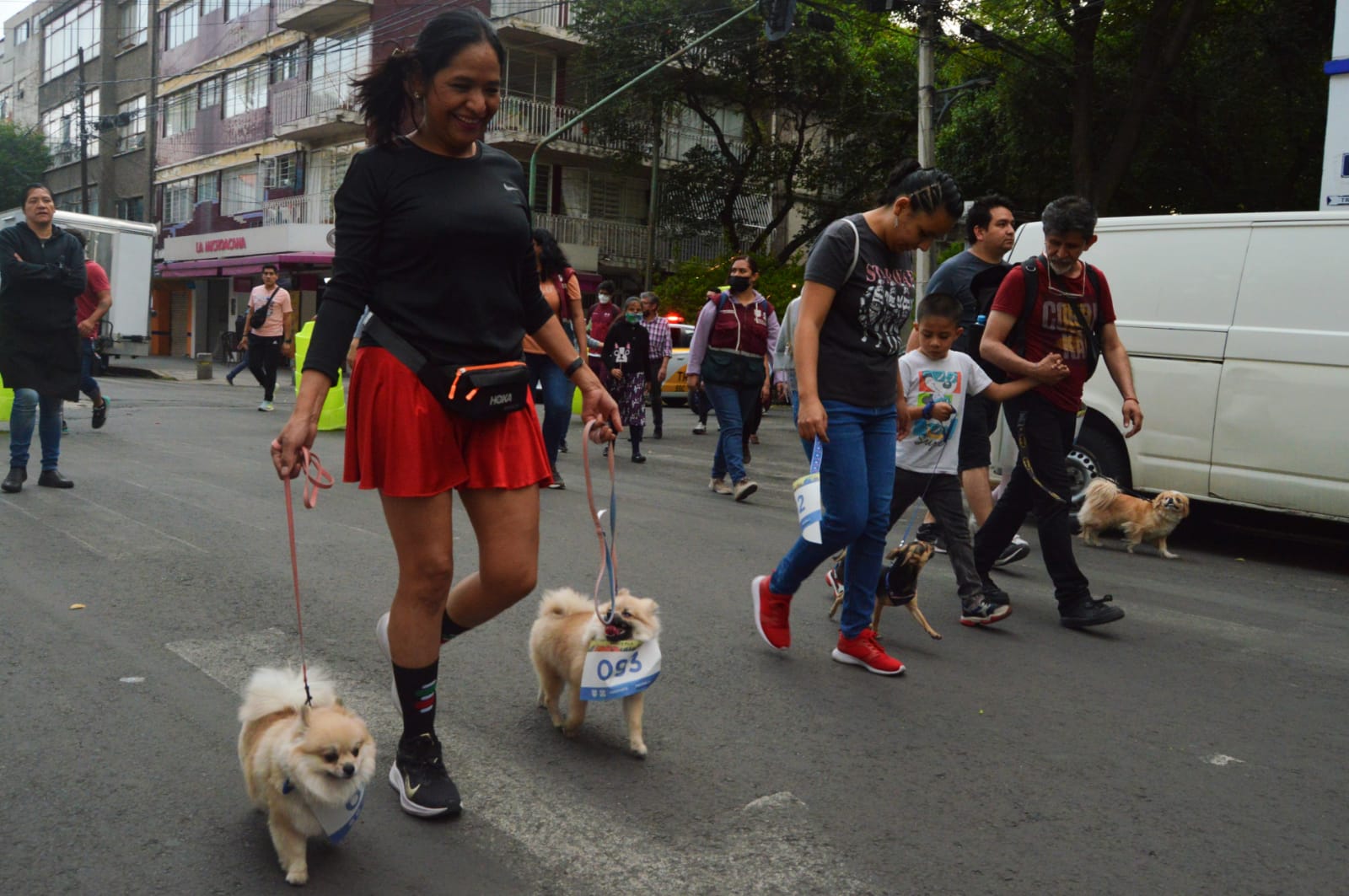 CaminataPerruna4.jpg