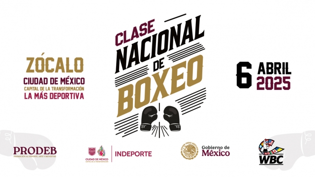 Clase de box